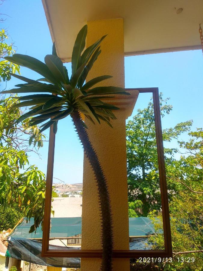 Room In Guest Room - Padrinos Hostal La Paz Full House Bagian luar foto