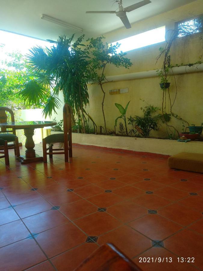 Room In Guest Room - Padrinos Hostal La Paz Full House Bagian luar foto